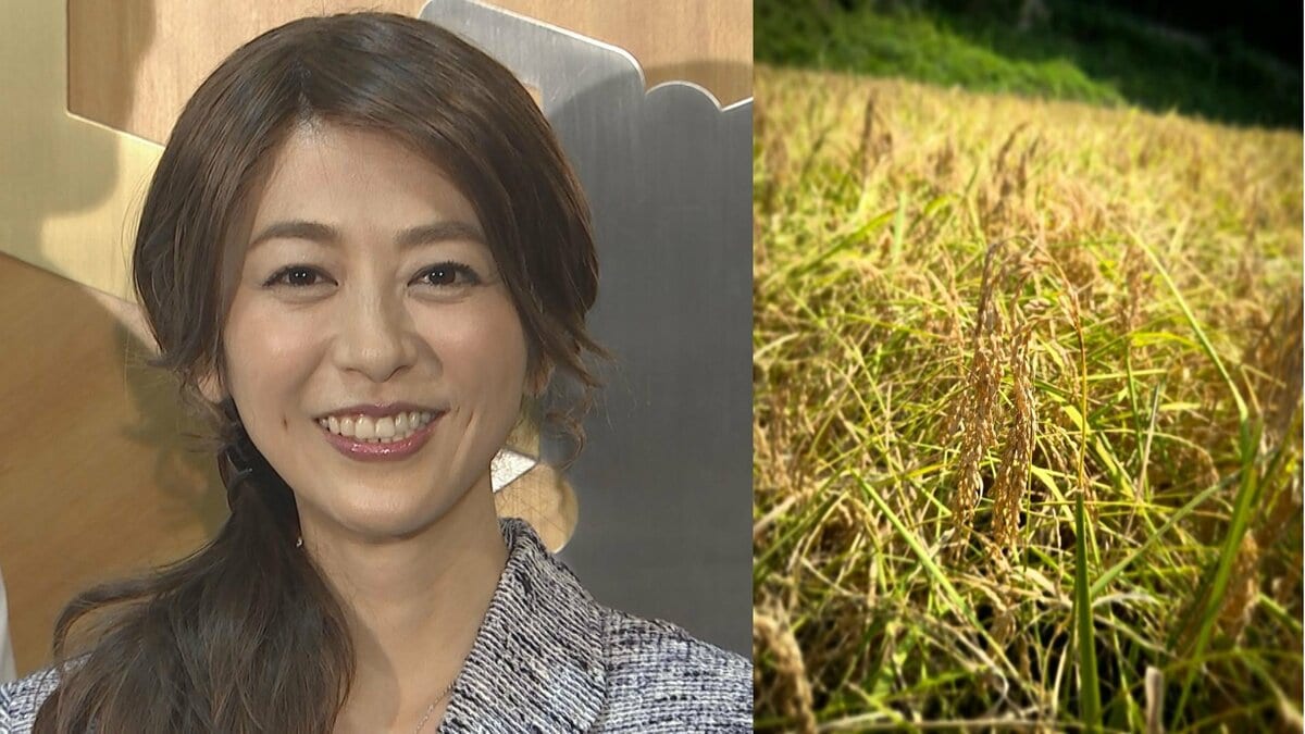 【 白石美帆 】「恒例の稲刈りも灼熱」　メカジキのライスサラダは「冷蔵庫の掃除もかねて」スッキリ＆チャージ　晩夏に気合い【 夫は元V6・長野博さん 】