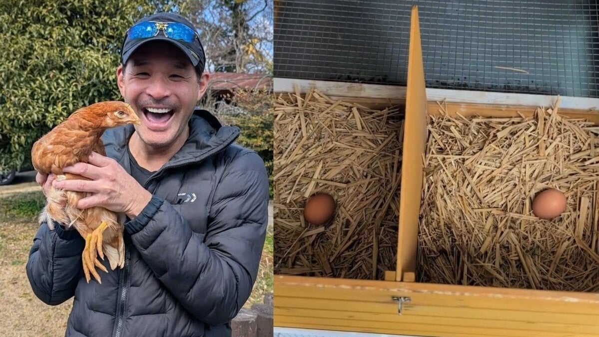 【 照英 】にわとり三姉妹からの卵に命名『照卵（てるたま）』　フォロワー称賛「目指せブランド化」