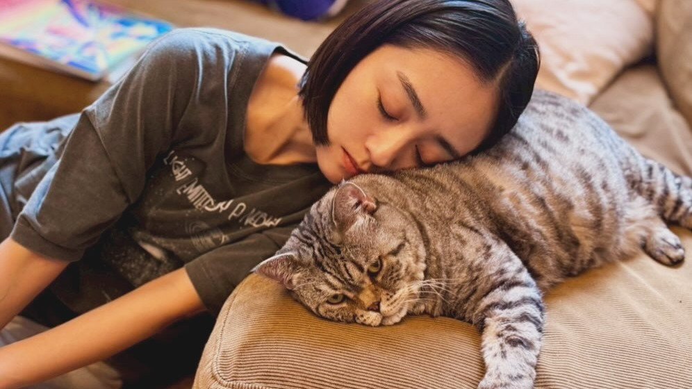 【 安達祐実 】愛猫を枕に「寝落ち」　フォロワー共感「猫ちゃん何か言いたげ」「どっしりボディ素敵」