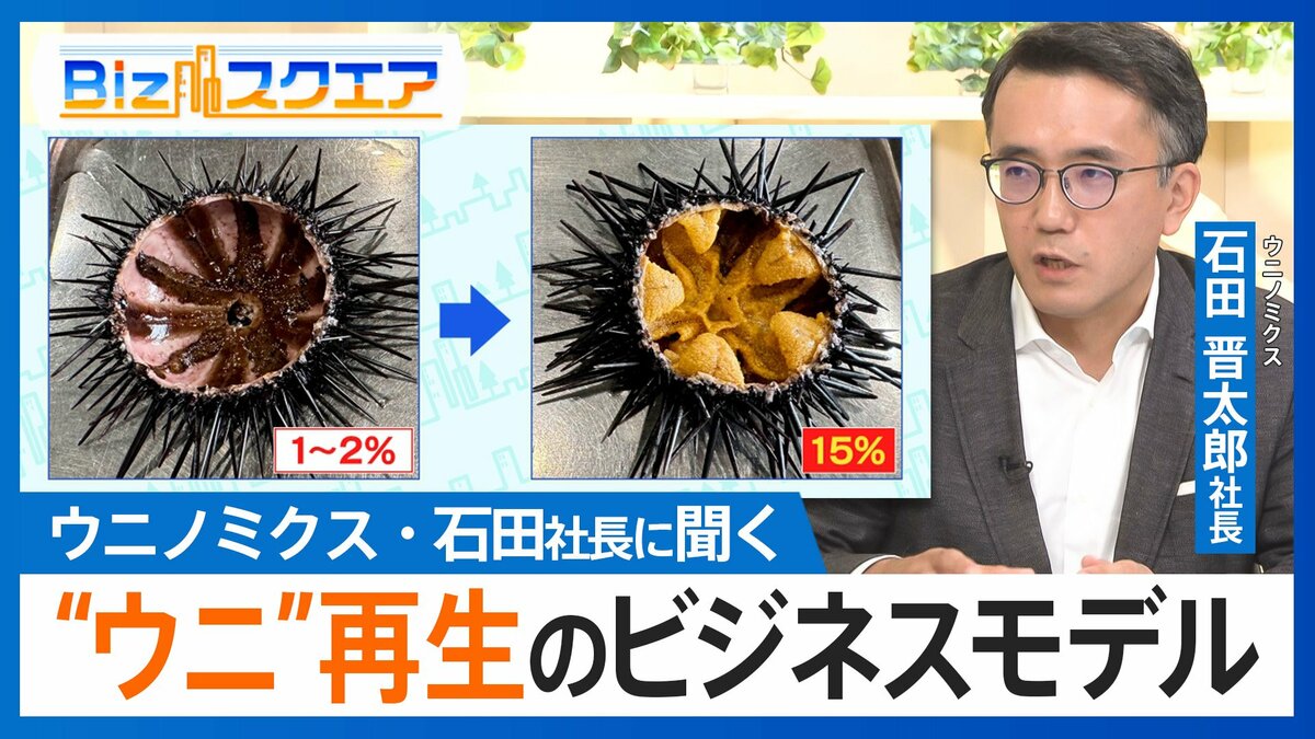 海藻を食い荒らす“痩せたウニ”がプリプリに…海を守って収益も「一石三鳥」の畜養ビジネスとは?【Bizスクエア】