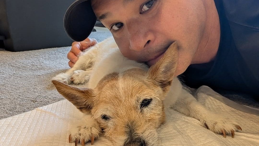 【 いぬ 】 照英さん　愛犬テン　19歳11ヶ月　「あと1か月で二十歳です」