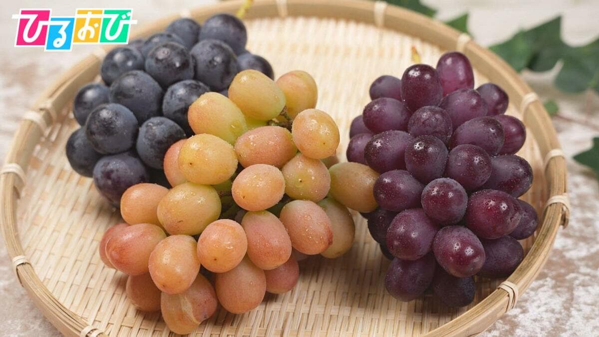 “次世代のシャインマスカット”ってどんな味？日本一美味しい「ぶどう」を決める「全国ぶどう選手権」【ひるおび】