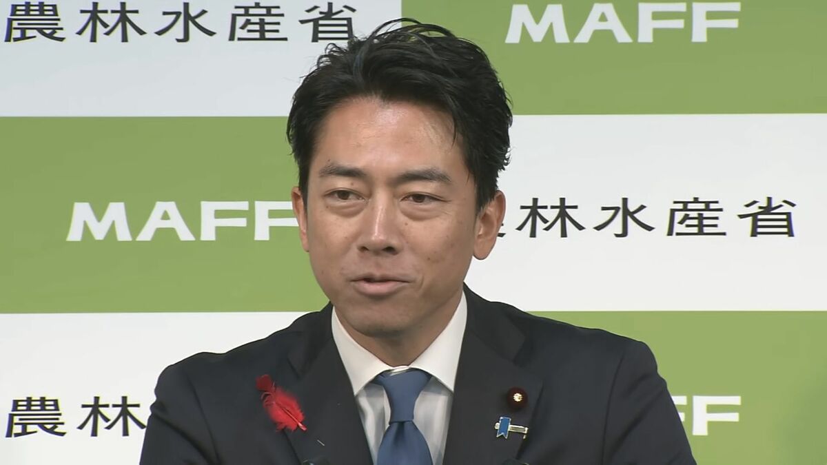 小泉農水大臣 希望ポスト総裁に伝えず 続投要請は「ない」