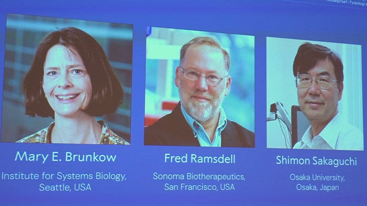 ノーベル賞が伝わっていない? きのうの生理学・医学賞で 「ハイキングに出かけデジタルデトックス中」