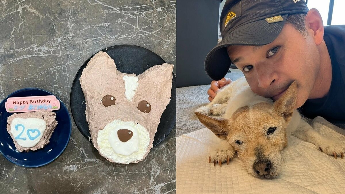 【 いぬ 】照英さん「愛犬テン20歳の誕生日」 “人間換算で96～100歳” 「本当に本当におめでとう！」フォロワーからも祝意多数