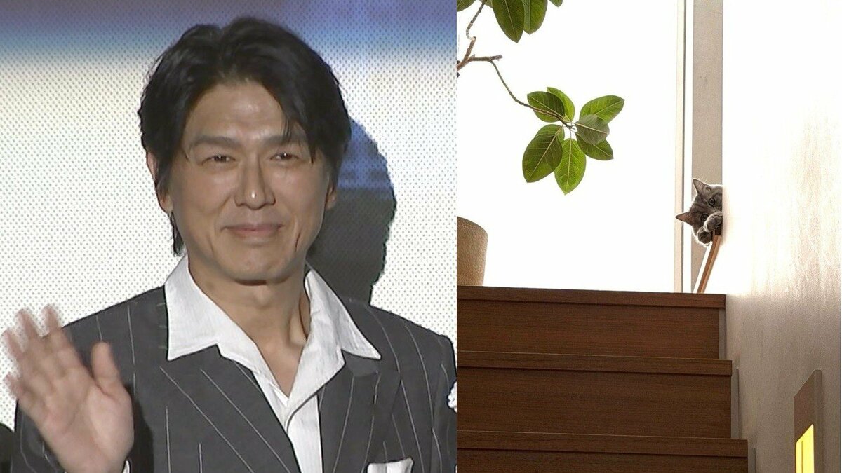 【 ねこ 】高橋克典さん 愛猫ミルリィが階段に「すっかり家族」 自室の椅子にも「う、嬉しい」