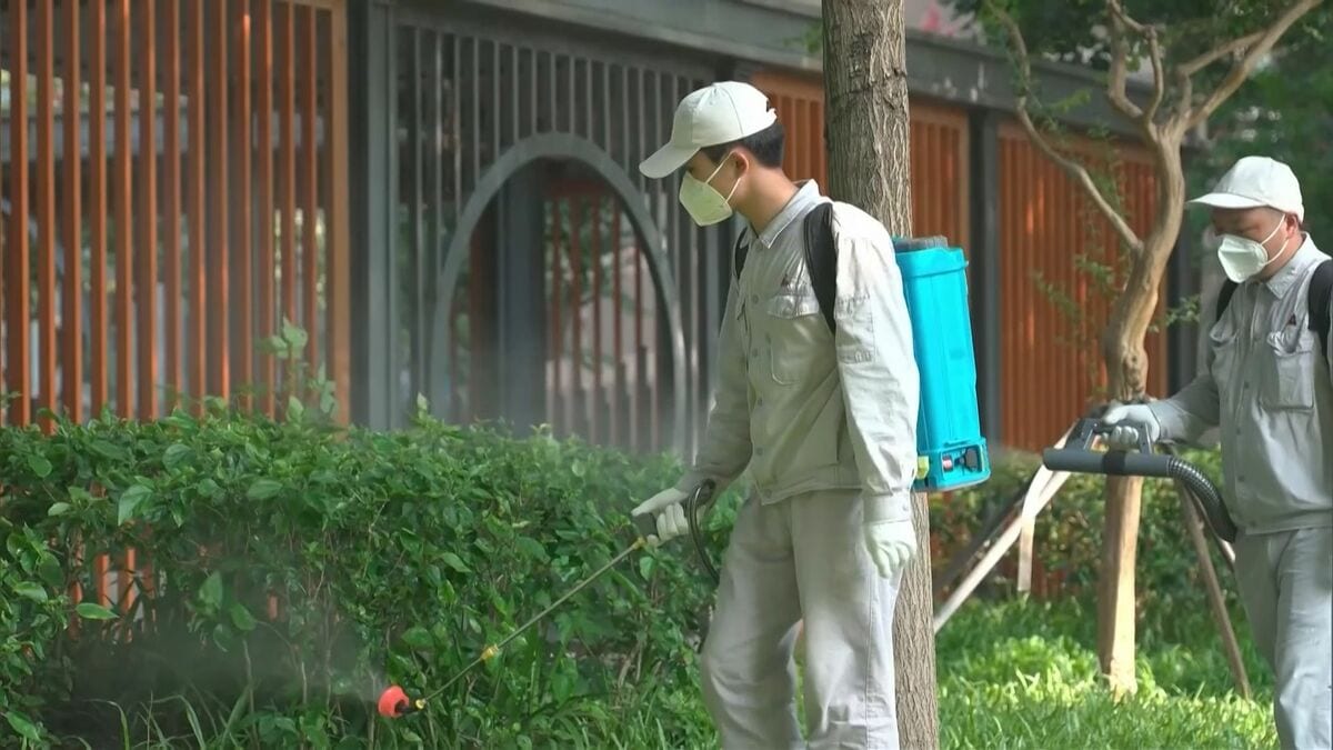 中国南部で「チクングニア熱」が流行 直近4週で1万人超の感染者