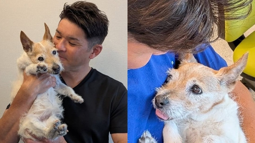 【 照英 】愛犬テン、旅立つ「20歳10日の生涯でした」と報告 「家族全員はテンと出会えて20年ずっと幸せでした」