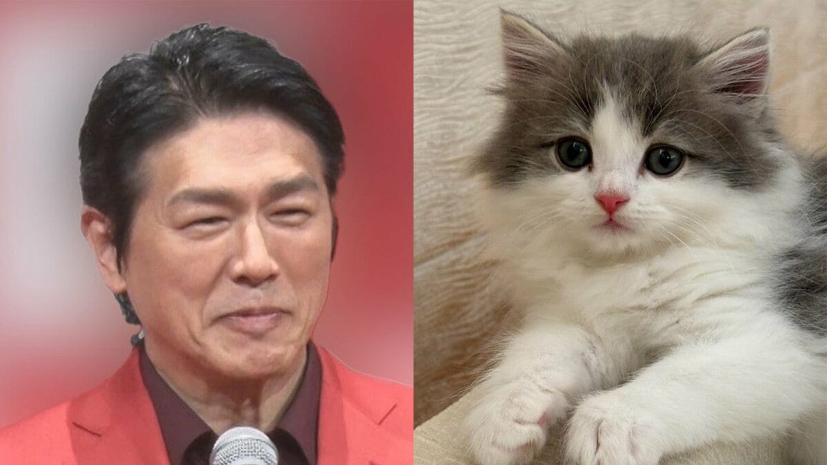 【 ねこ 】 高橋克典さん「ウーウー!シャーシャー合戦」自宅に迎えた新しい子猫ラヴィくんと先住猫ミルリィちゃんの様子を報告
