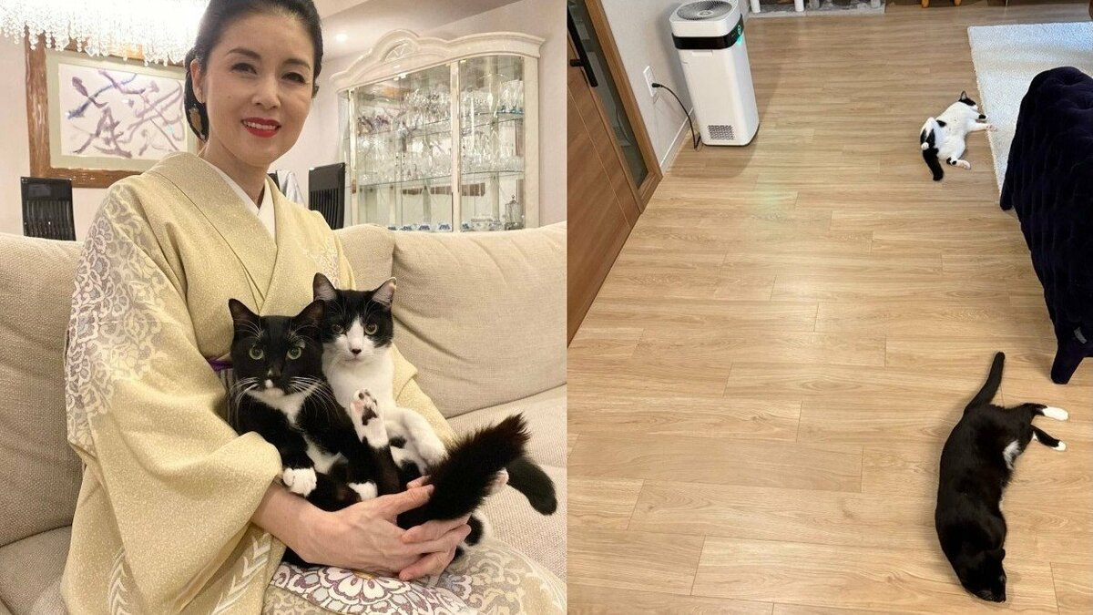 【 藤あや子 】愛猫オレオが “ヘソ天ぱぁ” 「床暖つきました」で猫たち安心の秋冬へ