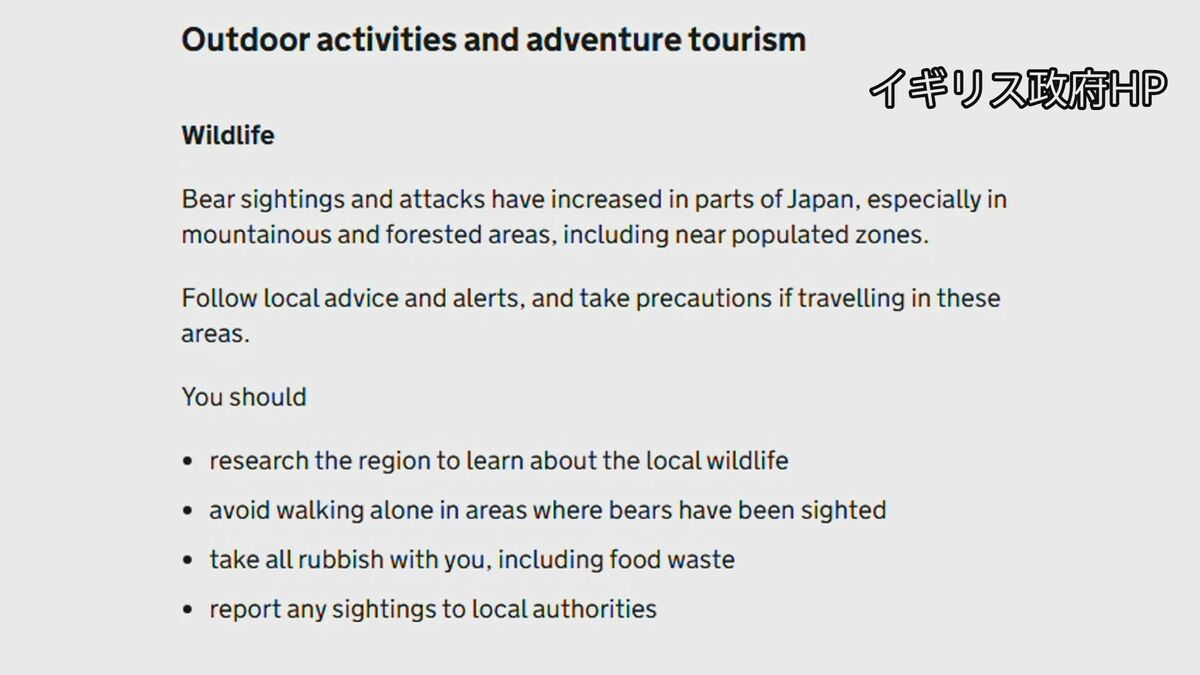 「クマによる被害増加」 イギリス政府が日本渡航者に注意喚起