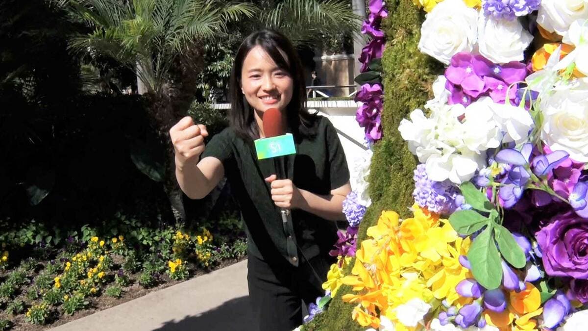 【競馬・天皇賞(秋)】東大卒・篠原梨菜アナウンサーがデータで予想 !本命はメイショウタバル