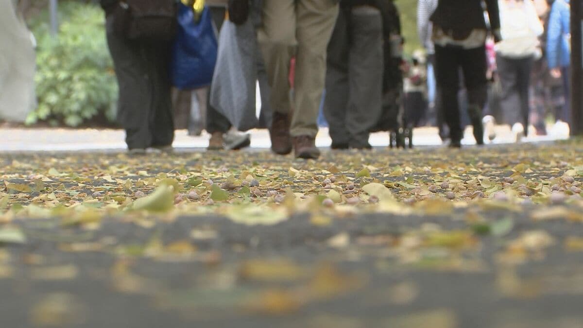 【速報】東京地方に木枯らし1号　気象庁が発表