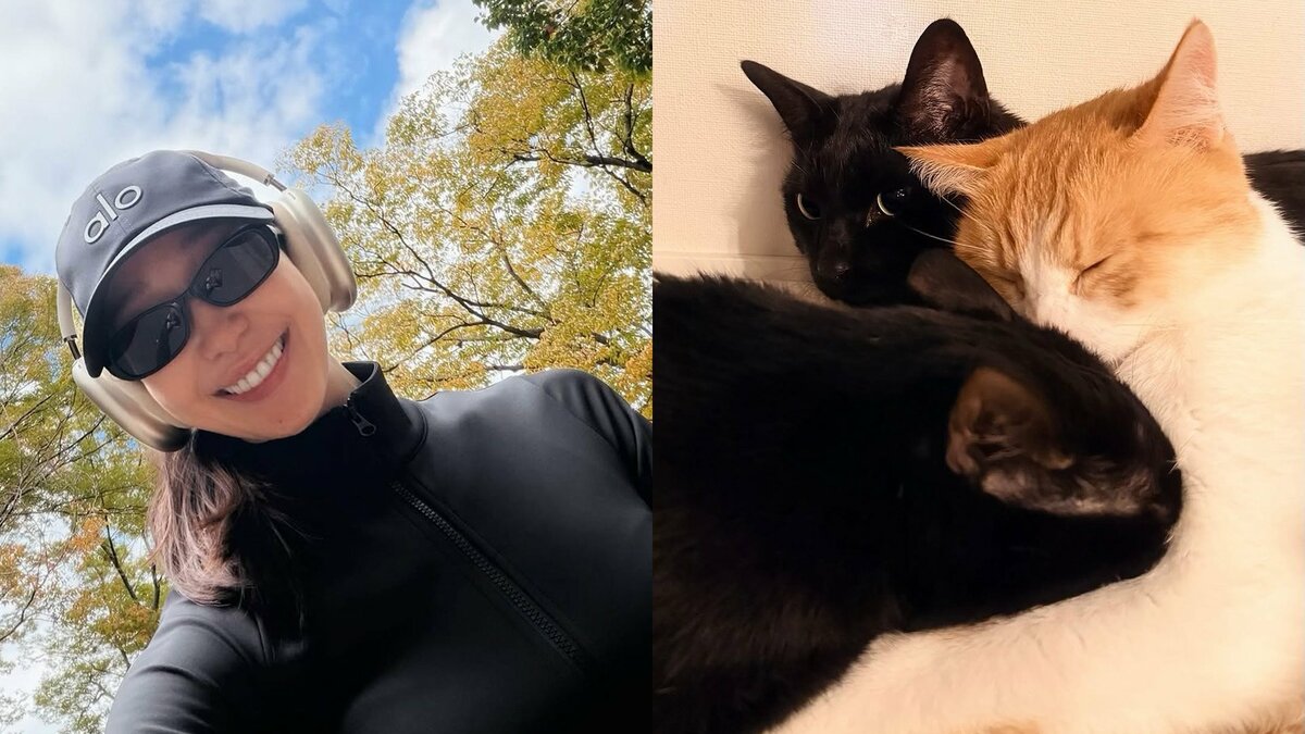 【 松島花 】　「歩くのが最高に気持ちいい季節」秋のウォーキングを満喫　愛猫3匹はホットカーペットでくっつき冬支度