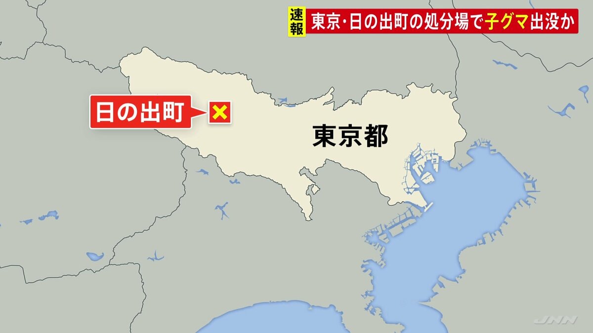 東京・日の出町で「子グマ1頭が出没」と通報 山の中へ逃げたか 警視庁と地元猟友会が確認中