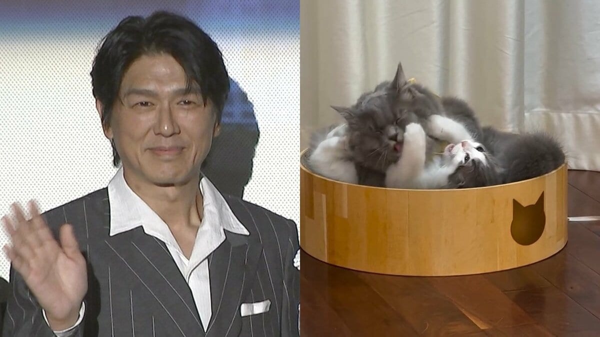 【 ねこ 】高橋克典さんの愛猫ミルリイ＆ラヴィ　秋の夜長に運動会　毛繕いも “ペロペロプロレス”