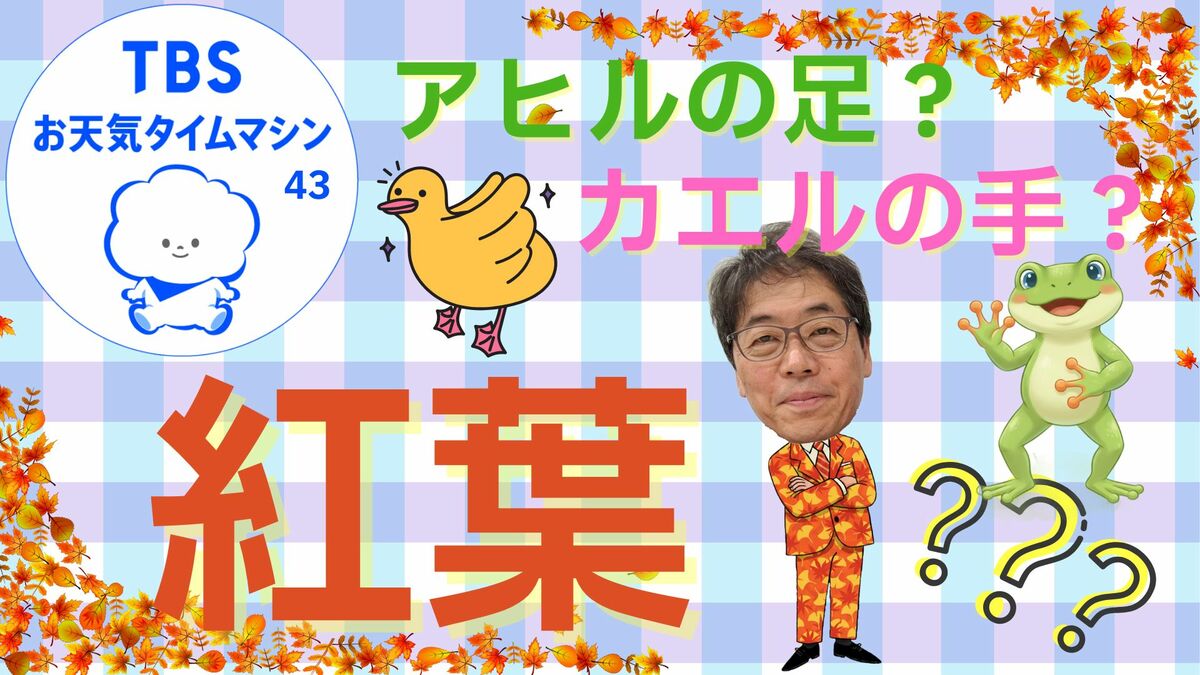 紅葉の季節到来！！イチョウやカエデの意外な由来と今年の紅葉の見頃予想【気象予報士・森朗のお天気タイムマシン】