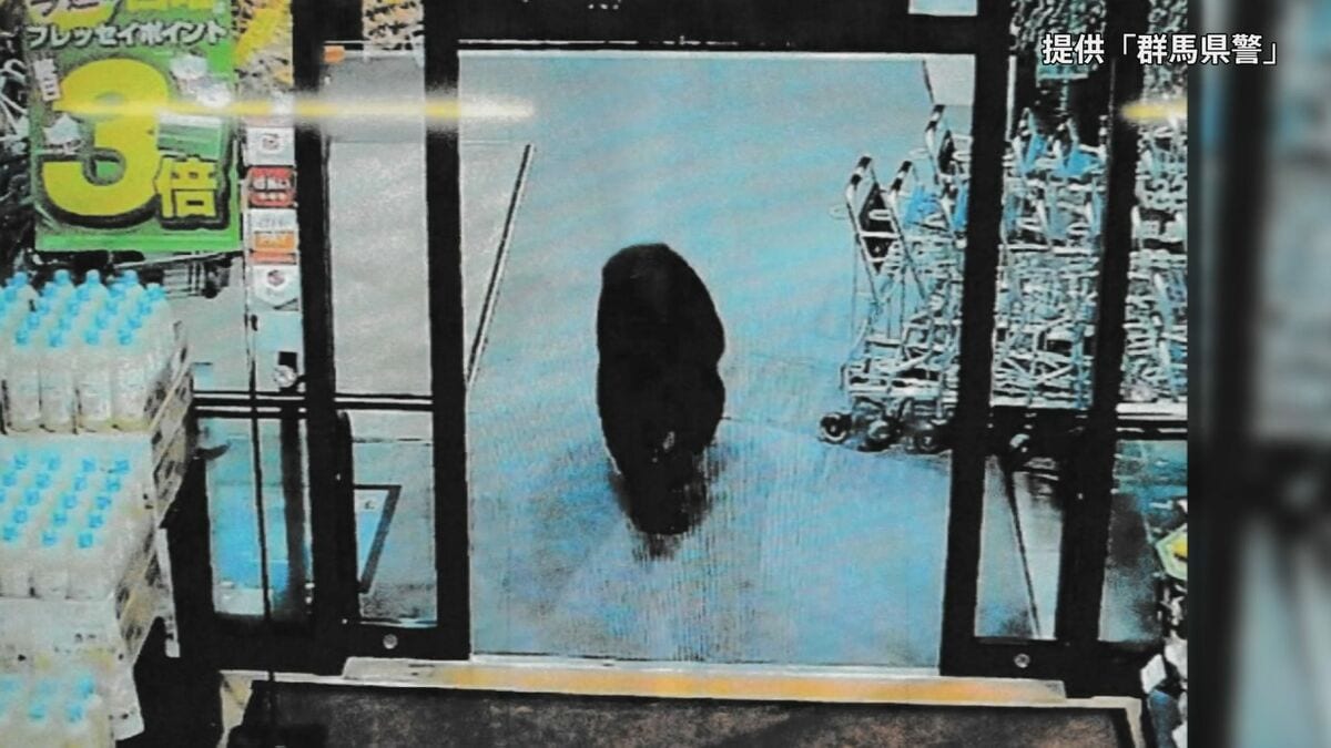 群馬・沼田市 10月だけで“クマ43頭”を捕獲 去年10月はわずか2頭 目撃情報も急増