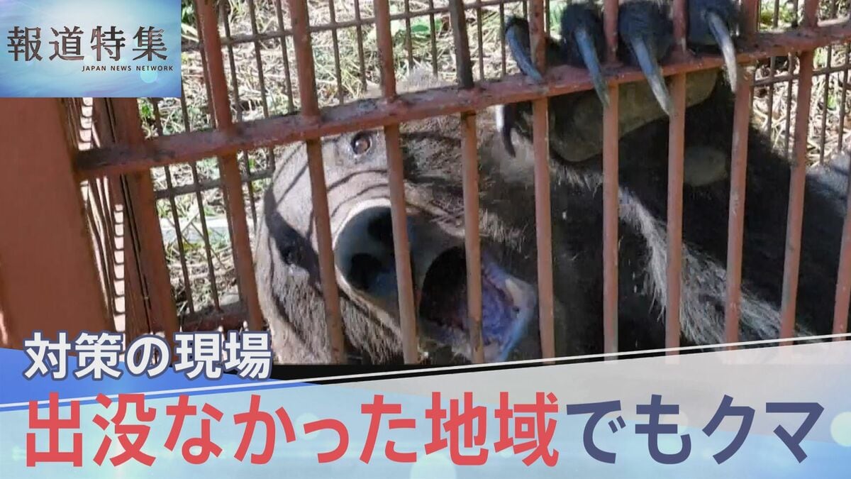 「緊急事態」過去最悪のクマ被害 市街地でも… すみ分けは可能? 地域で摸索される対策、クマのエサを山に 10年越しの挑戦【報道特集】