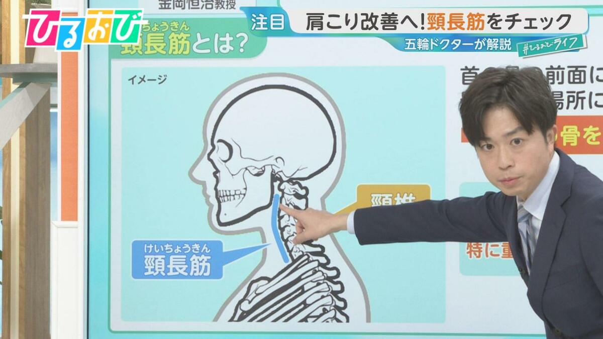 「肩こり」の原因は“首のインナーマッスル”にあり！五輪ドクターが教えるメカニズムと改善法【ひるおび】