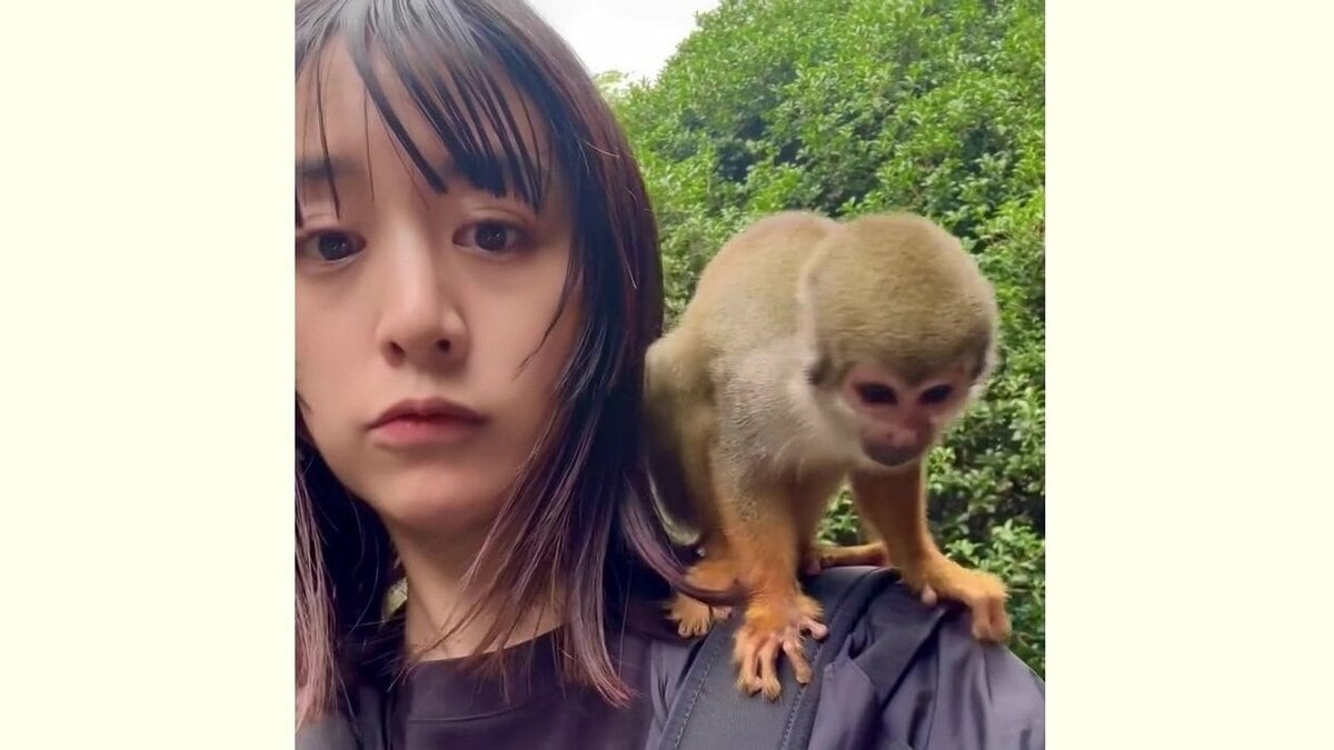 【 山本美月 】リスザルたちが肩でループ　フラミンゴにご飯　長崎バイオパークで触れあいのひととき