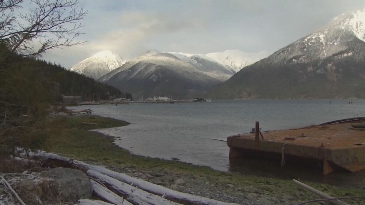 クマが遠足中の子どもらを襲う　4人負傷 うち2人重体　カナダ西部