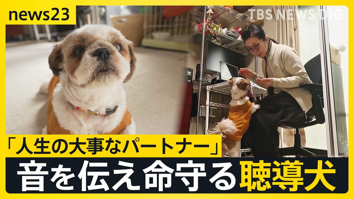 全国にわずか50頭 音を伝えて命を守る“聴導犬” 聞こえない世界を支える「人生の大事なパートナー」【news23】
