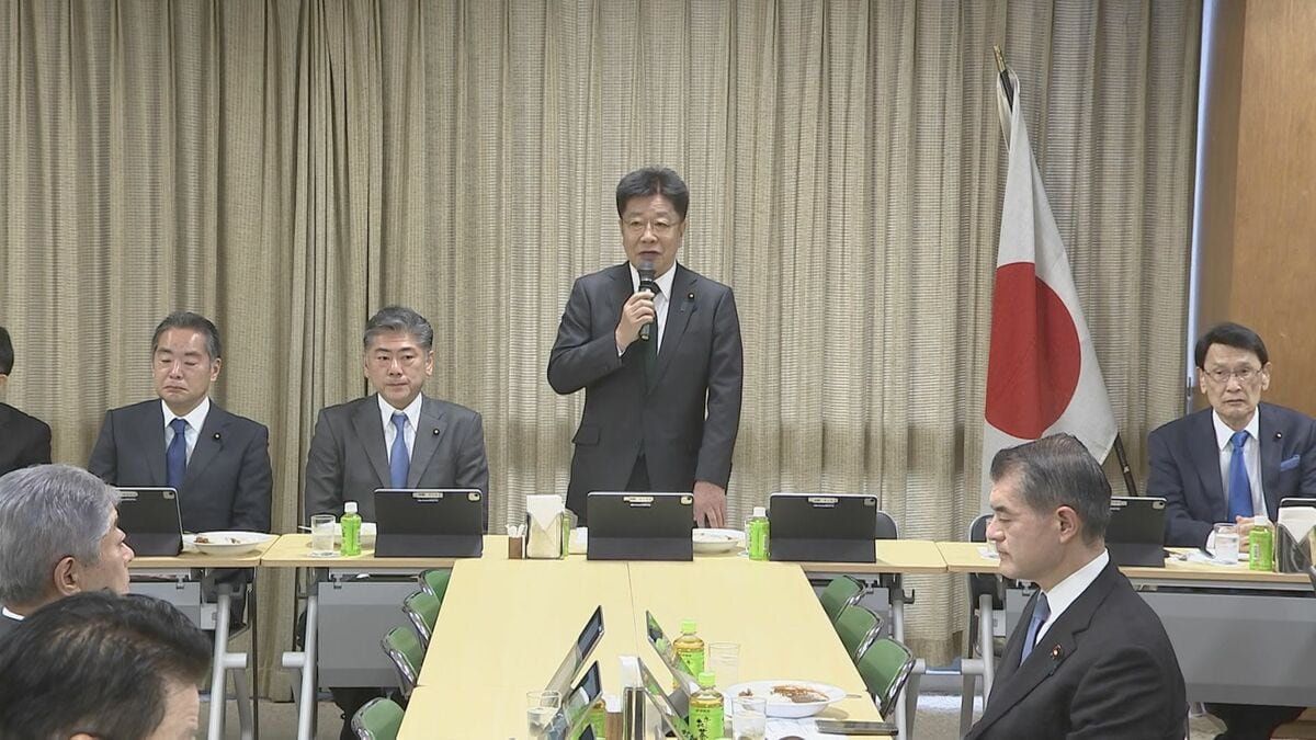 自民党が国民・公明への対案を検討 企業・団体献金めぐり