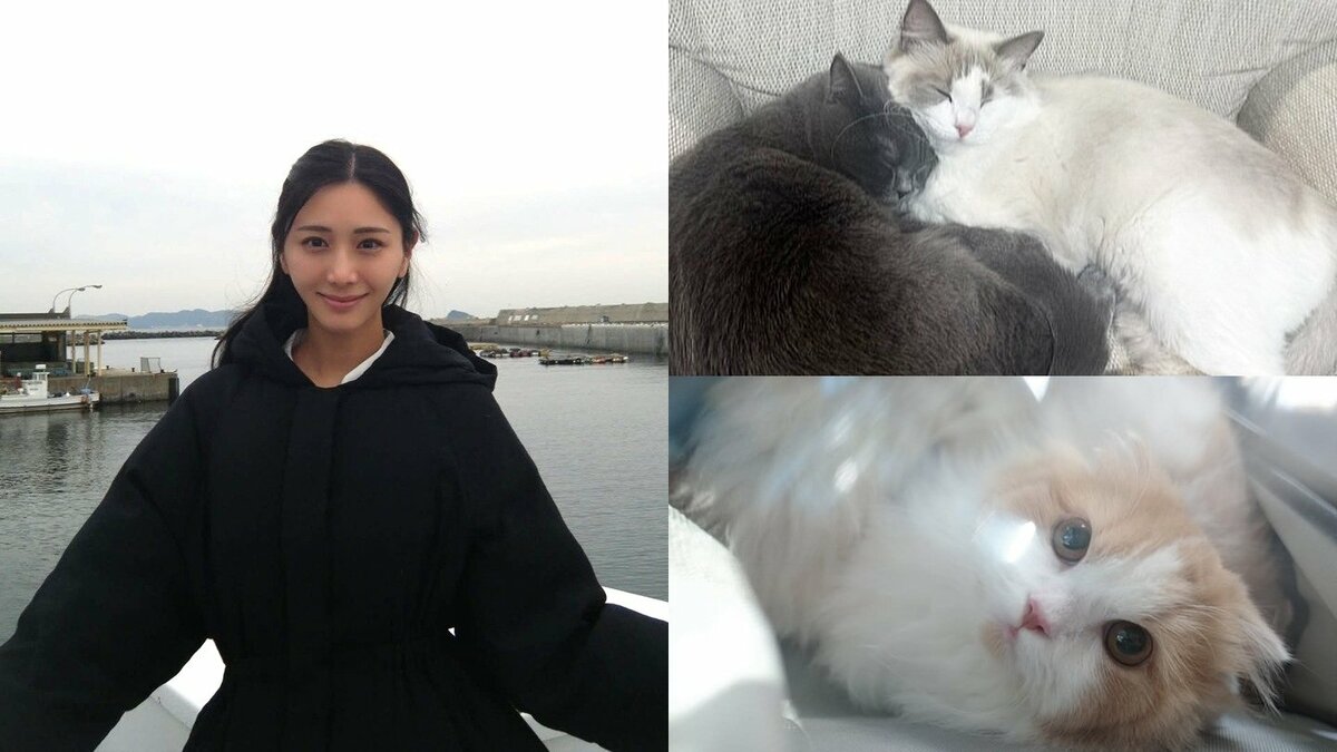 【 斎藤恭代 】冬の訪れに愛猫のお昼寝を紹介「ナカヨシ♡♡」　フォロワー共感「ずっと見ていたい」