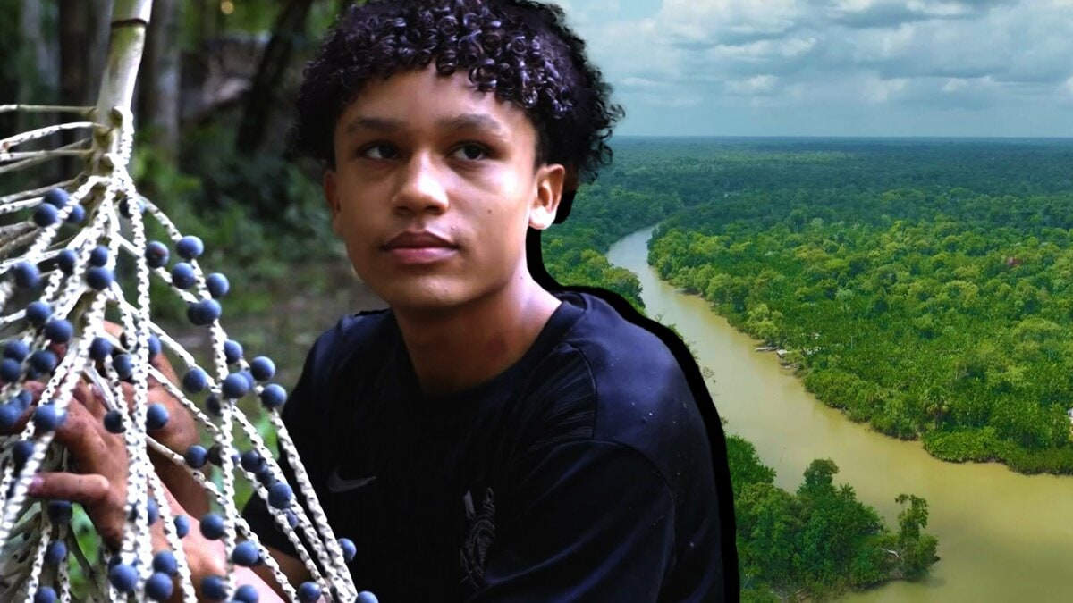 あなたのアサイーはどこから? 地球の裏側・アマゾンで見たブームに隠れた“児童労働”の現実と親の葛藤