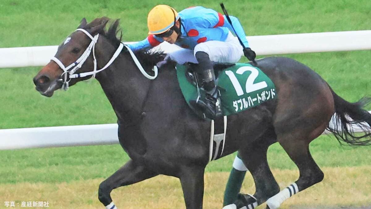 ダブルハートボンド、チャンピオンズカップ制す ! ウィルソンテソーロとの大接戦を写真判定で勝利【競馬 GI】