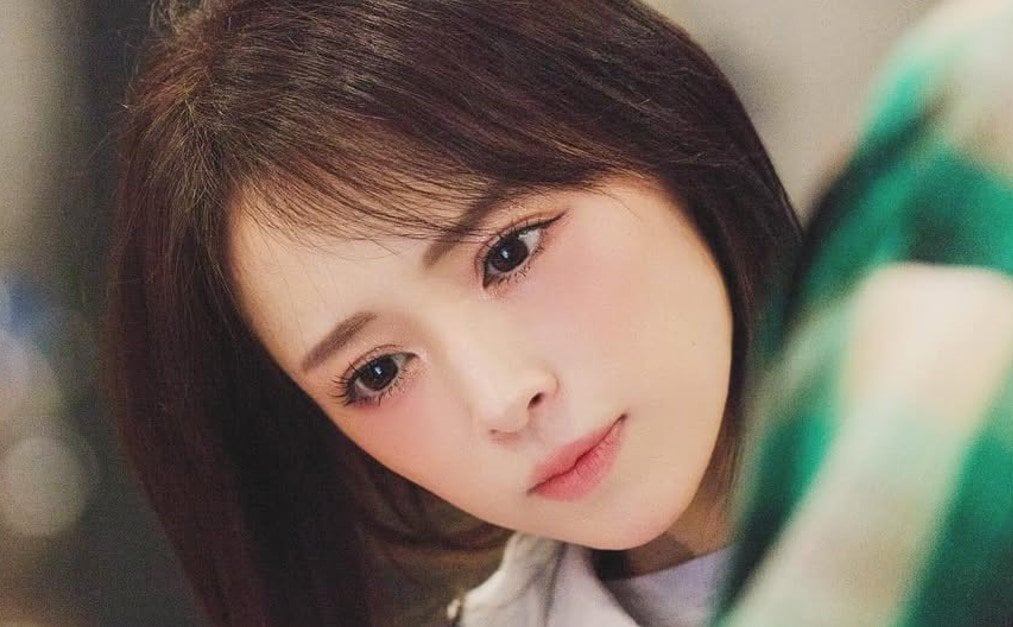 【 浜崎あゆみ 】 「家族が2人増えました」 保護犬猫団体に感謝 「この出会いを有難う!」「世界は救えずとも、ひとりの世界を救うことは出来ると信じて」