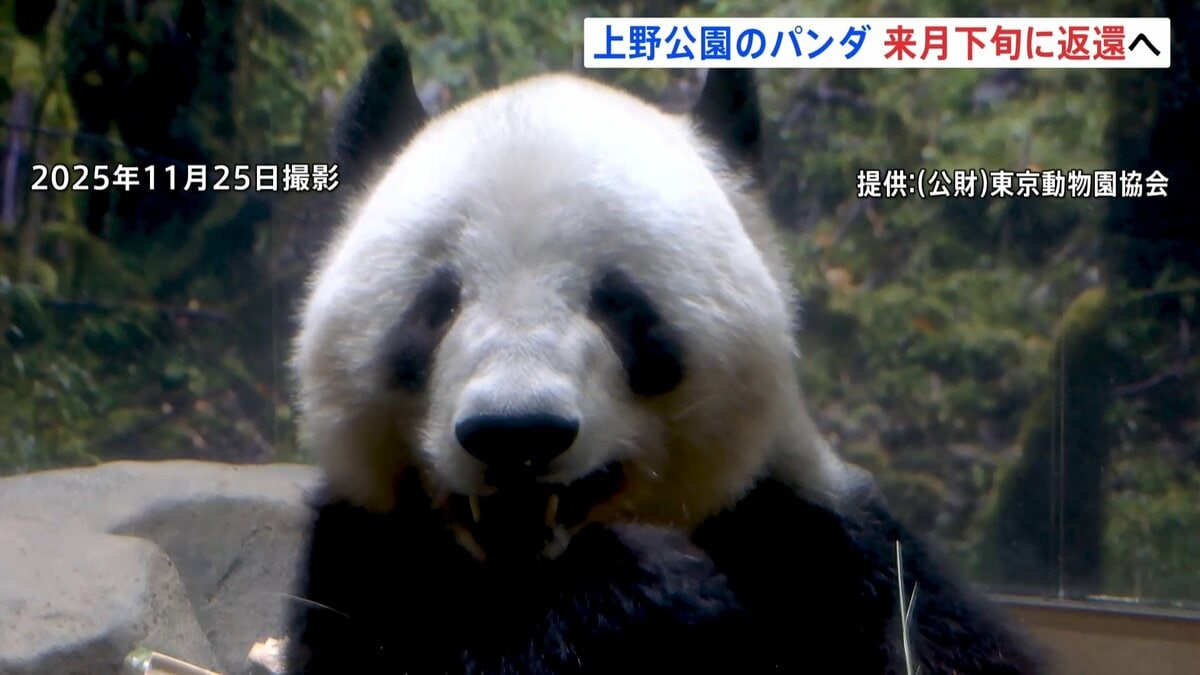 上野動物園のパンダ「シャオシャオ」「レイレイ」 1月下旬に中国返還　国内のパンダ「0頭」に　新たなパンダ貸与に向け交渉続けるも「具体的な回答なし」
