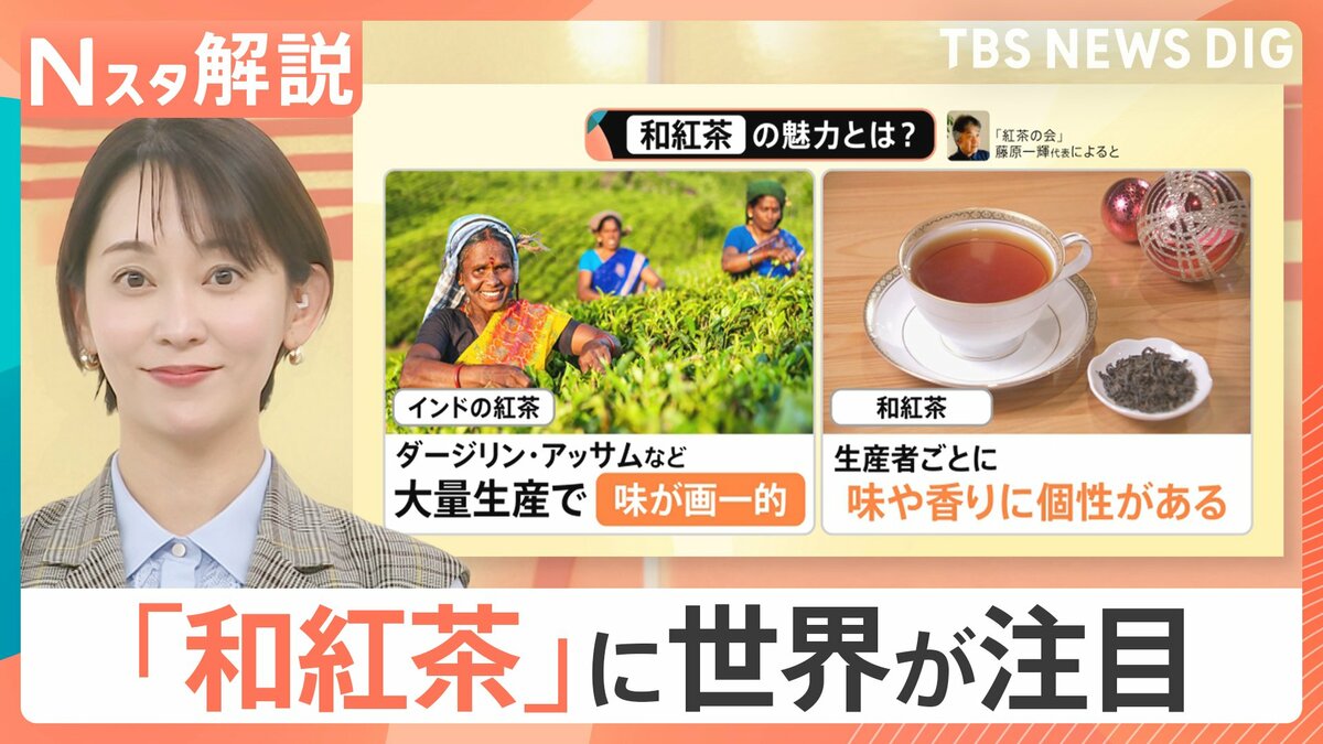 「和紅茶」が熱いワケ！個性豊かな味・香りで“日本茶”の魅力凝縮　消費減少のカギに？【Nスタ解説】
