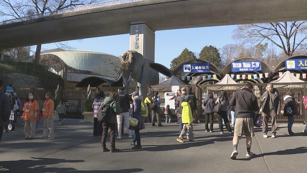 多摩動物公園がオオカミ脱走の原因公表 飼育エリアの壁に生えた植栽を伝うなどして擁壁を飛び越えたか 来月2日から通常通り開園 東京・日野市