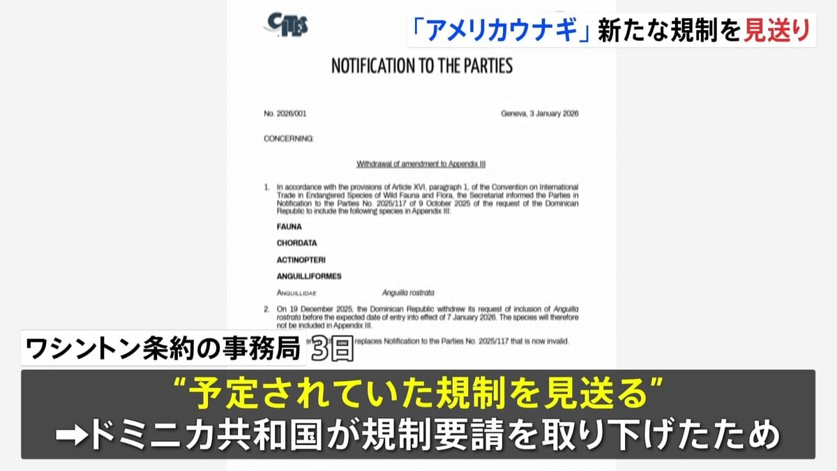 「アメリカウナギ」新たな規制見送り　日本では“かば焼き”など加工品で多く消費　規制要請のドミニカ共和国が取り下げたため