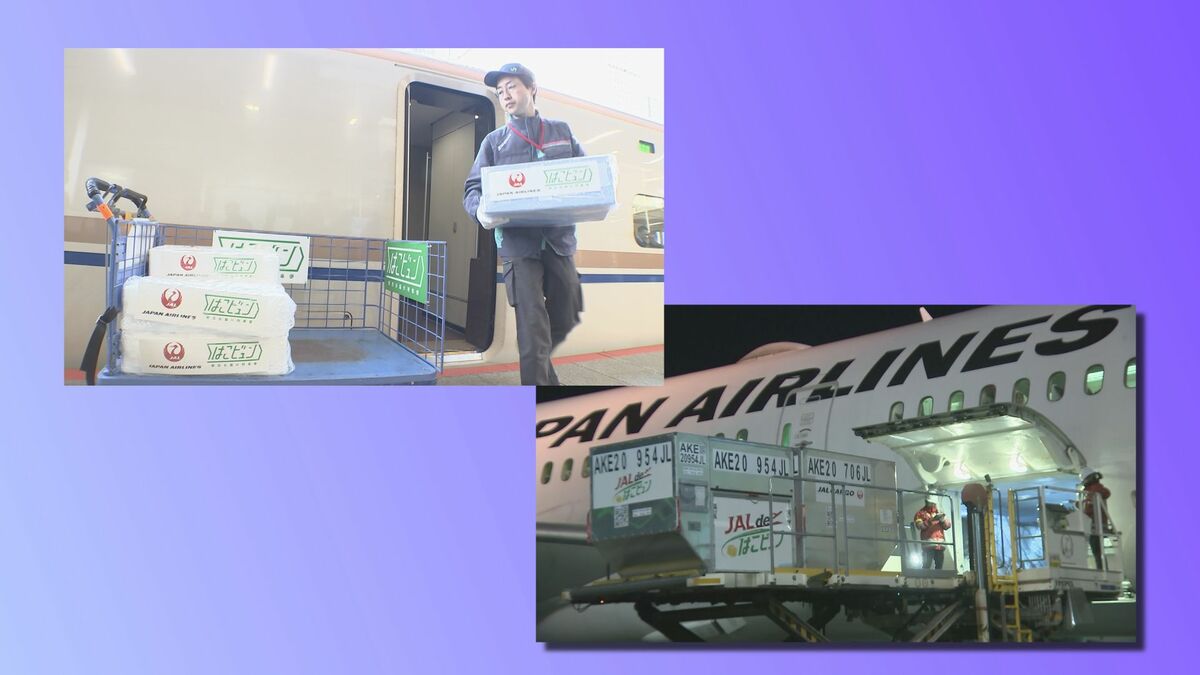 JR東日本とJALが新たな輸送サービス開始　“新幹線×飛行機”で生産地から消費地まで大幅な時間短縮　労働力不足解消や地方支援にも貢献目指す