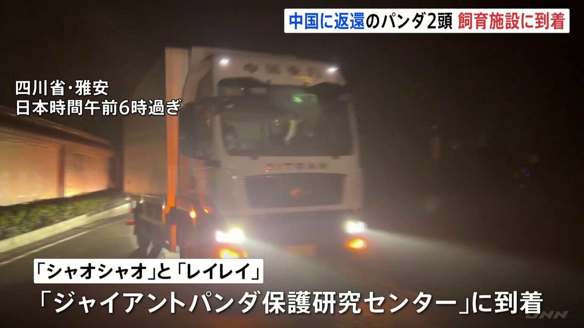 【速報】双子パンダ「シャオシャオ」「レイレイ」が中国・四川省の施設に到着 検疫のため隔離される予定