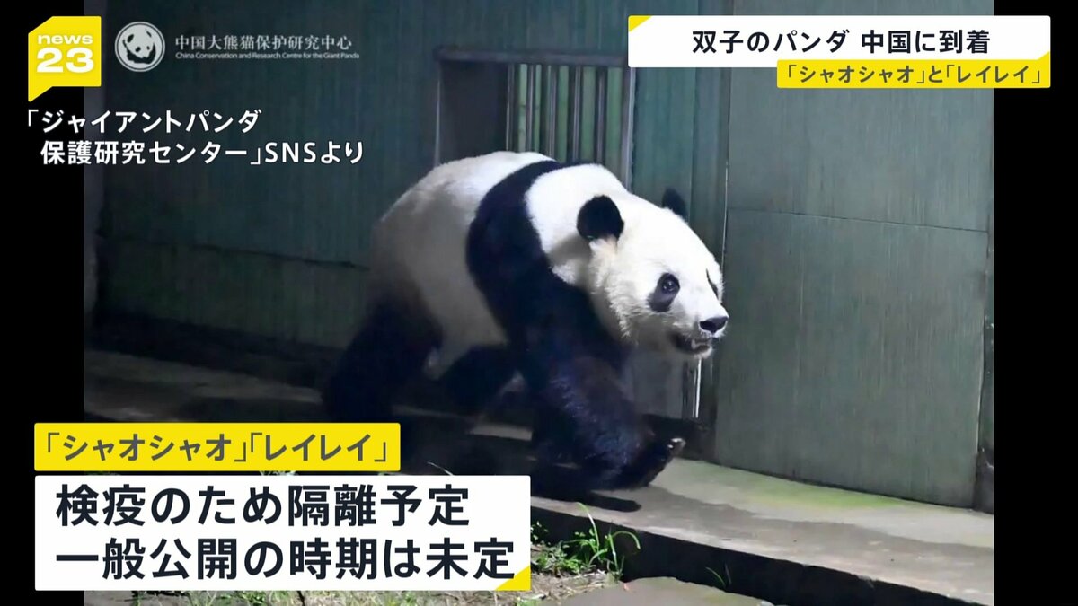 パンダが中国に到着 「シャオシャオ」と「レイレイ」四川省の保護センターへ 沿道には日本人の姿も
