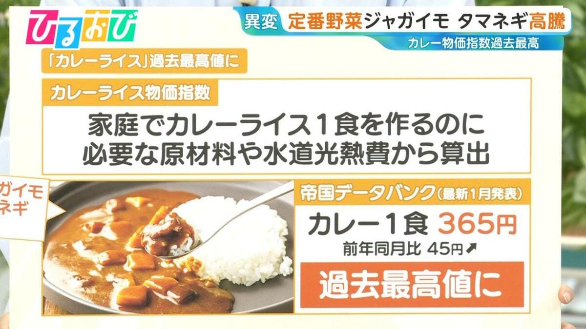 “カレーライス物価指数”1食「365円」に!定番ジャガイモ&玉ねぎ「今シーズンずっと高値」【ひるおび】