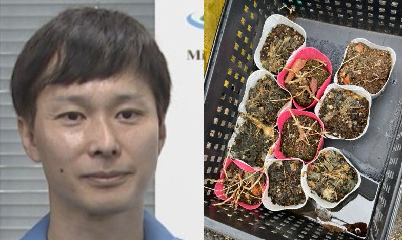 【 ごみ清掃芸人 】　土の処分について　「時折、集積所に出てきますが、多くの地域は土を回収していません」 【マシンガンズ滝沢】