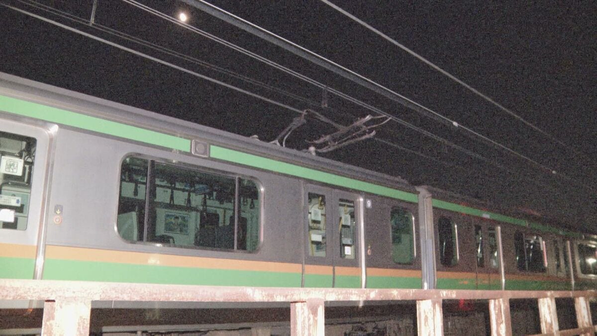 JR宇都宮線の架線断線は架線の張り替え工事計画の誤りが原因 平行する2本のうち張り替えが必要のない方張り替え 作業員と工事計画者の認識に齟齬 JR東日本