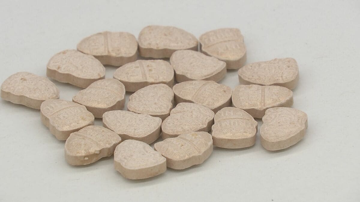 去年1年間の不正薬物の押収量2.7トン超で「過去最悪」 航空機旅客からの押収量が前年比約2.5倍で急増 東京税関