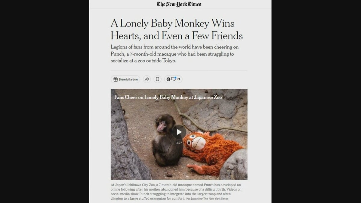 英語でも「頑張れパンチ」　海を越え日本の赤ちゃんザルに応援の声