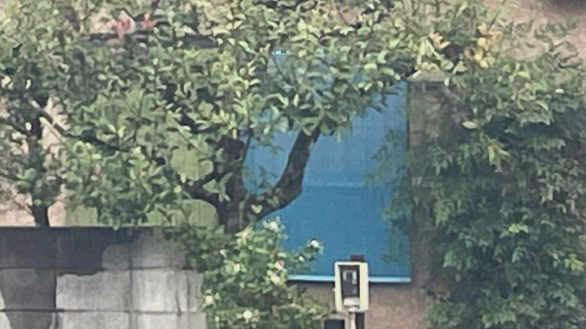 【速報】千葉・野田市の80代高齢夫婦宅に3人が押し入り手足を縛って金庫を奪取　男性がバールのようなもので殴られけが　強盗傷害事件として捜査