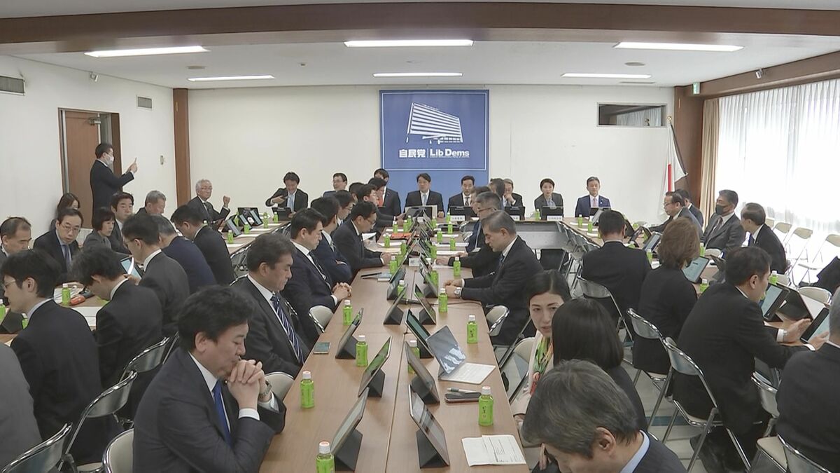 「物価高対策にならない」 自民党会合で消費税減税に「慎重論」相次ぐ