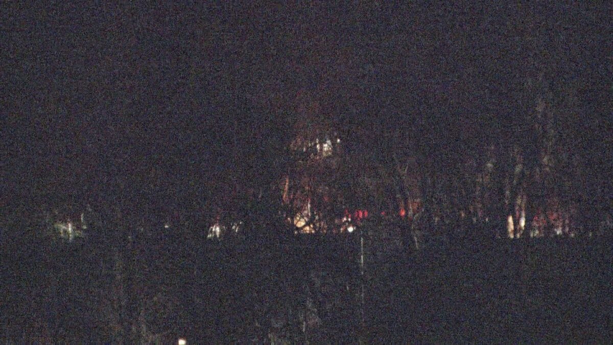 栃木・日光市足尾町の山林火災は発生から約8時間で鎮火　原因は「倒木の電線への接触」