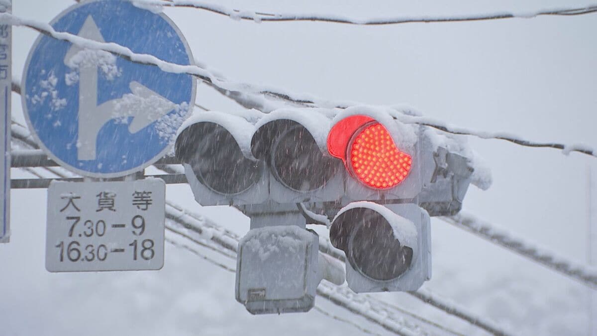 栃木県で大雪警報　宇都宮では積雪12センチ観測　車のスタックや線路で倒竹など交通にも影響