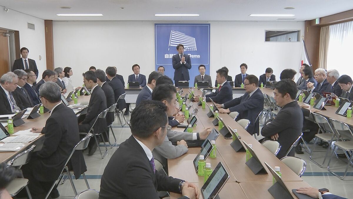 自民党 イランなど中東情勢の悪化を受け政府に提言へ　エネルギー対策など盛り込む見通し