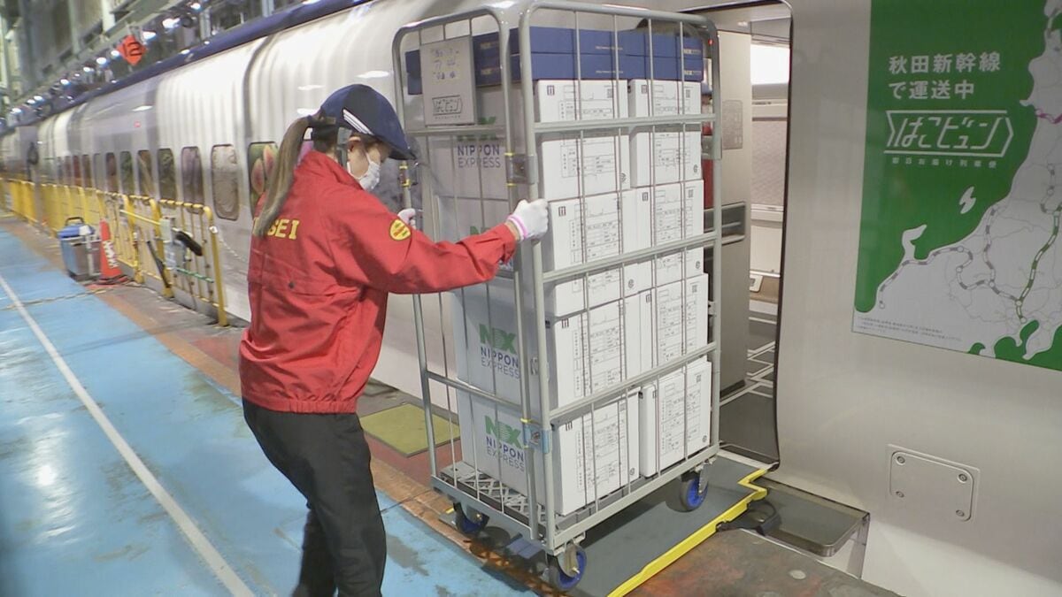 新たな輸送手段として定着するか JR東日本の荷物専用新幹線がサービス開始 盛岡から東京まで約800箱の段ボールが運ばれる